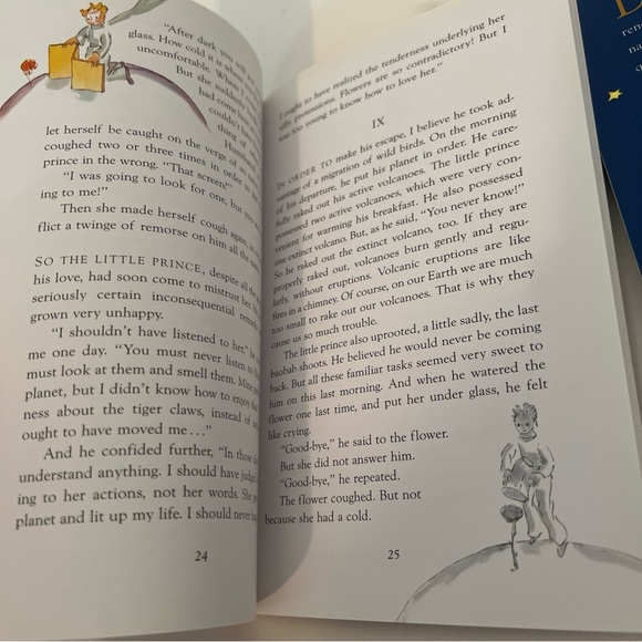 Set of 2 books le petit prince and the little prince english and french - Picture 7 of 10